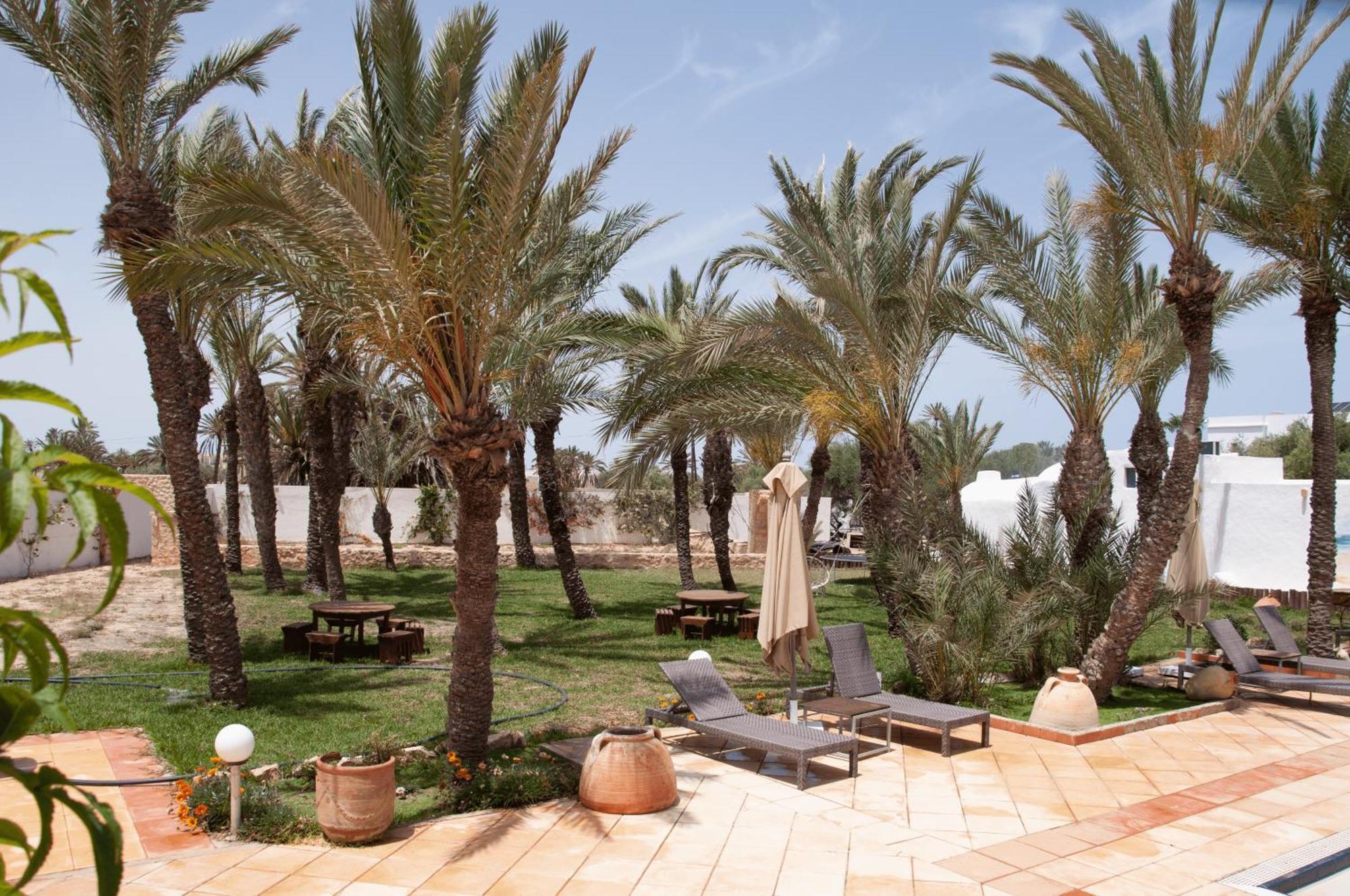 Le Patio De Mezraya Bed & Breakfast Mezraia Екстериор снимка